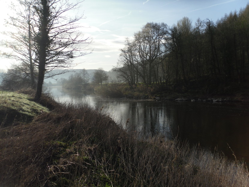 Lower Wye's Vanstone Pool in early spring